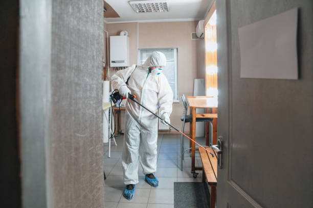 Best Asbestos and Lead Testing During Mold Inspection  in Neshanic Station, NJ