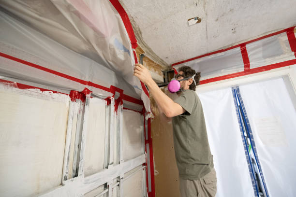 Best Dehumidification Services  in Neshanic Station, NJ