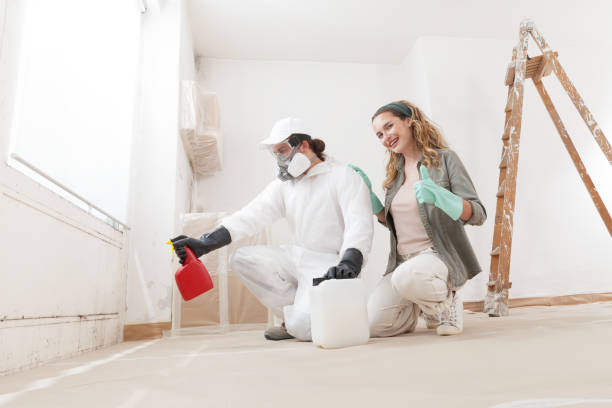 Best Industrial Mold Remediation  in Neshanic Station, NJ