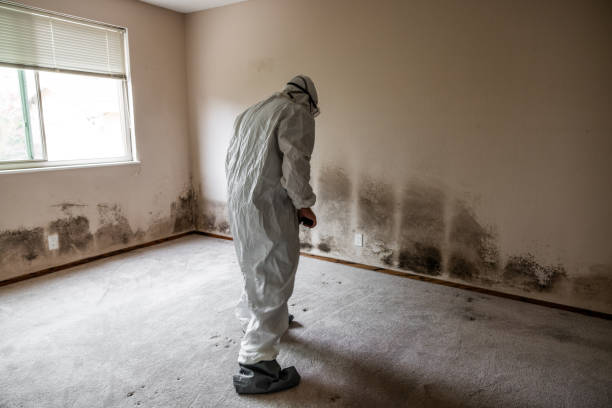 Best Biohazard Mold Removal  in Neshanic Station, NJ